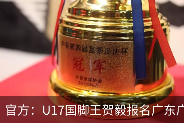官方：U17国脚王贺毅报名广东广州豹一线队，将身披28号球衣