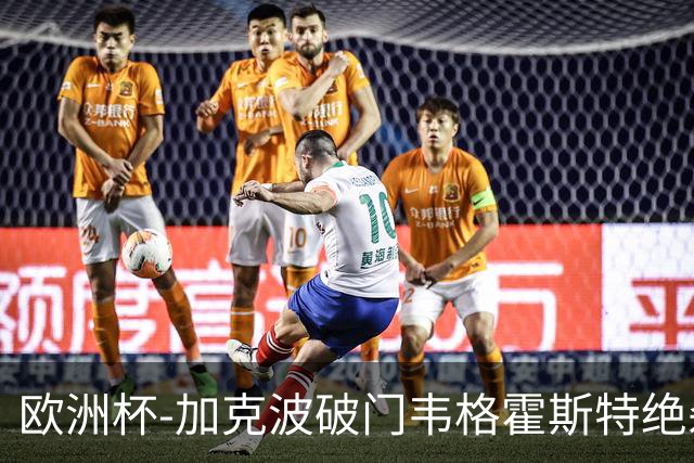 欧洲杯-加克波破门韦格霍斯特绝杀 荷兰2-1波兰